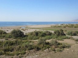 MATINSA adjudicataria de la recuperación ambiental del Delta del río Andarax