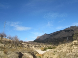 La Confederación Hidrográfica del Segura adjudica a MATINSA la obra de acondicionamiento del Barranco de La Canal en Velez Rubio, Almería