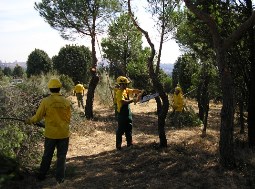 Adjudicado a MATINSA el Servicio de defensa contra incendios forestales de la Casa de Campo de Madrid