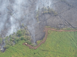 El servicio-prevención y extinción de incendios forestales con maquinaria pesada en el marco del plan INFOMA, adjudicado a MATINSA en UTE