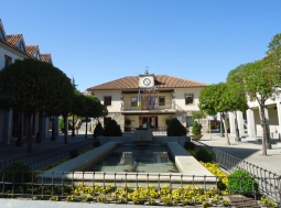 Servicio de poda, desbroce, conservación y mantenimiento de parques, jardines, viarios y aceras del municipio de Torrelodones