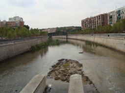 El Servicio de Conservación del Río Manzanares adjudicado a MATINSA