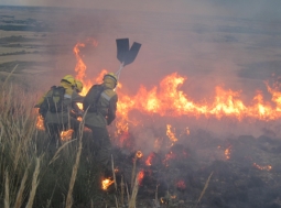 Final de la campaña de alto riesgo de incendios forestales en la zona este de la CAM