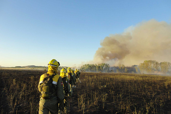 Matinsa obtains the fire prevention and extinguishing service contract for the eastern area of the Region of Madrid